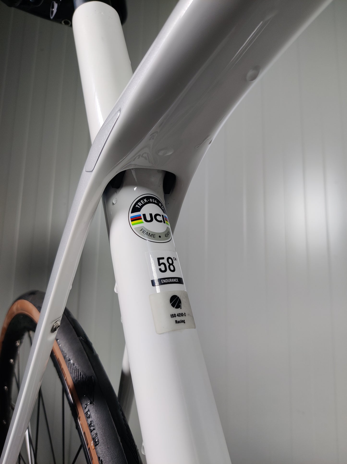 Trek Domane SL5 - 1,79m-1,86m - 2022 - käytetty maantiepyörä