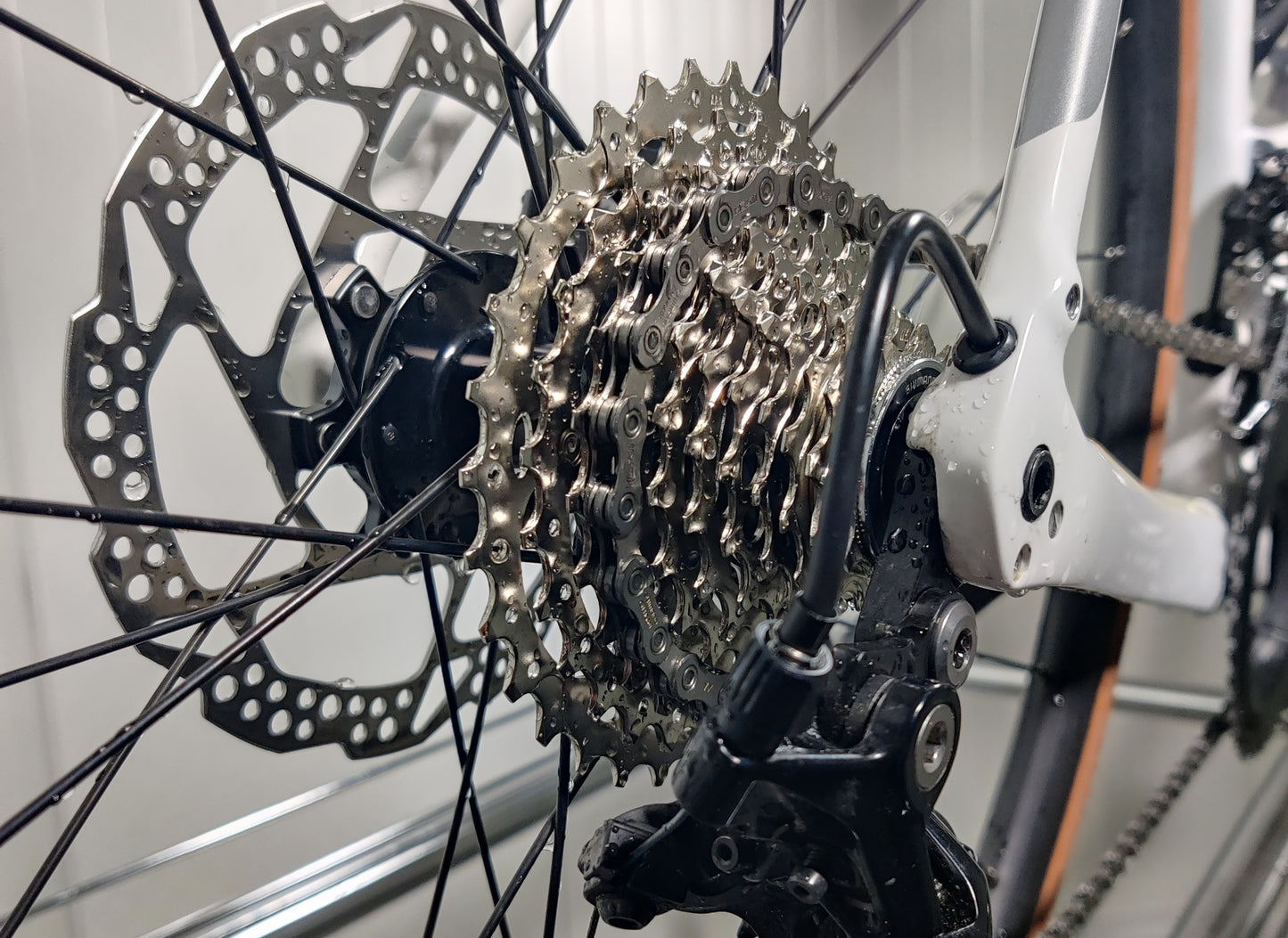 Trek Domane SL5 - 1,79m-1,86m - 2022 - käytetty maantiepyörä