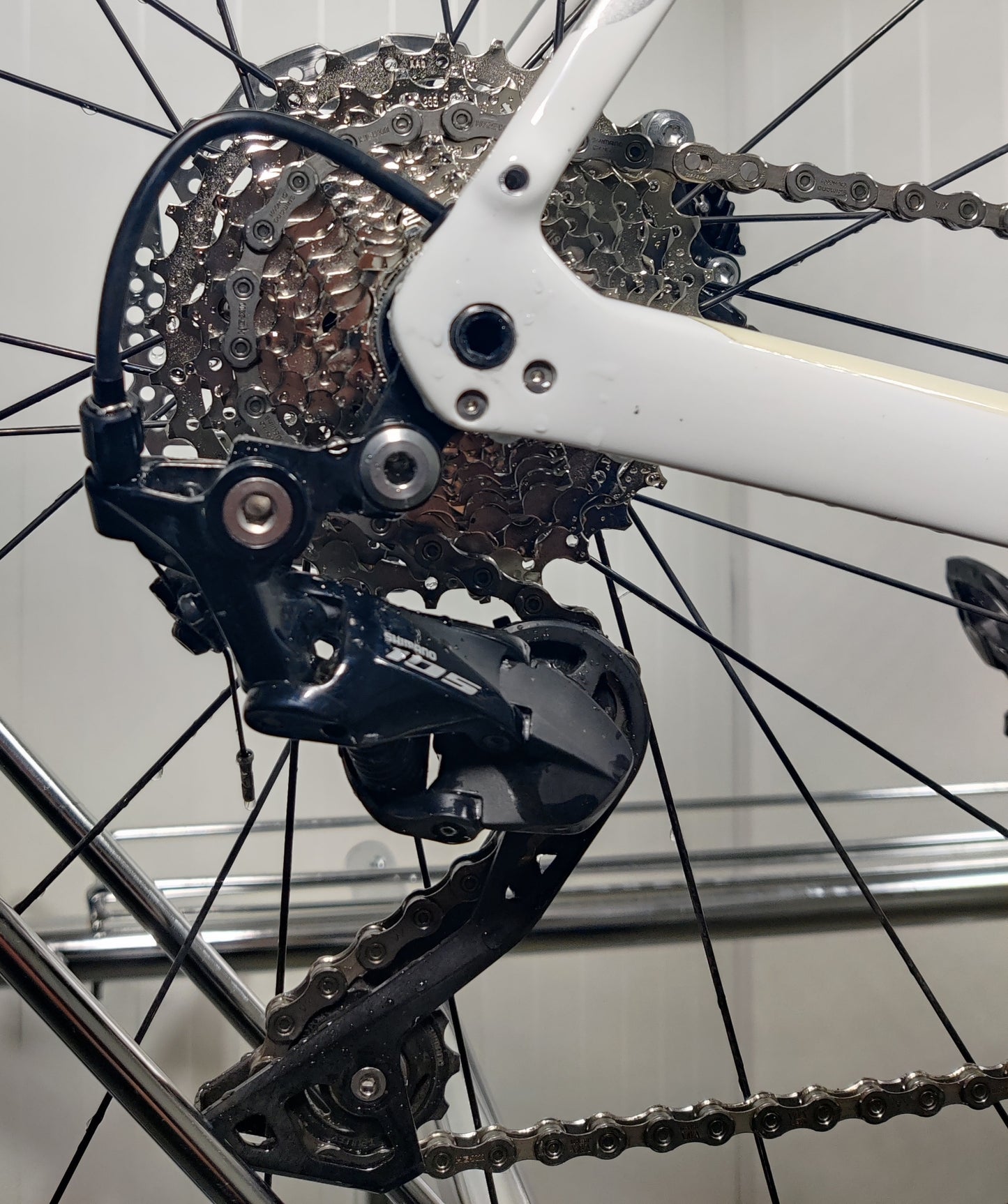 Trek Domane SL5 - 1,79m-1,86m - 2022 - käytetty maantiepyörä